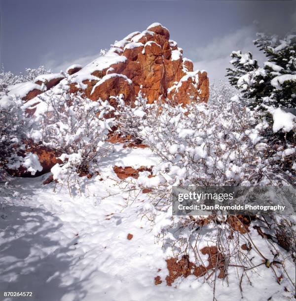 garden of the gods, national natural landmark, colorado,usa-vertical - pikes peak national forest stockfoto's en -beelden