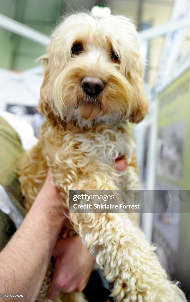 National Pet Show at The NEC Birmingham