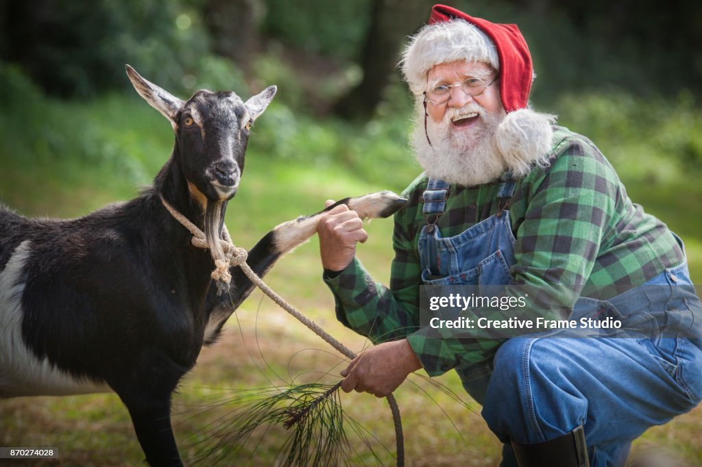 Happy Santa Claus holding hands with a goat