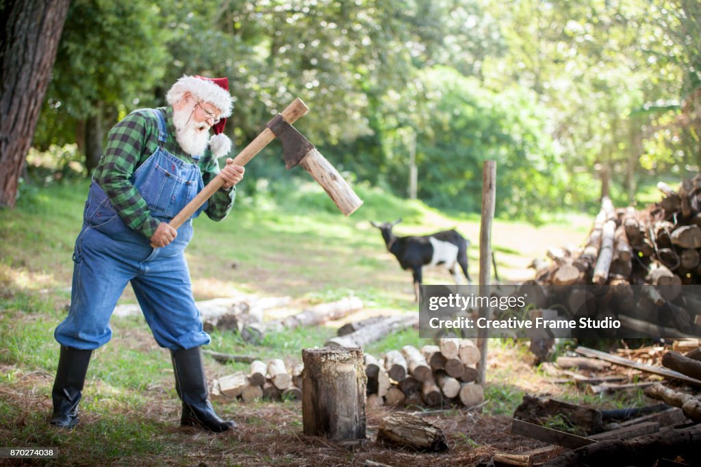 Powerful Santa Claus wood cutting on a meadow with a goat on the background.