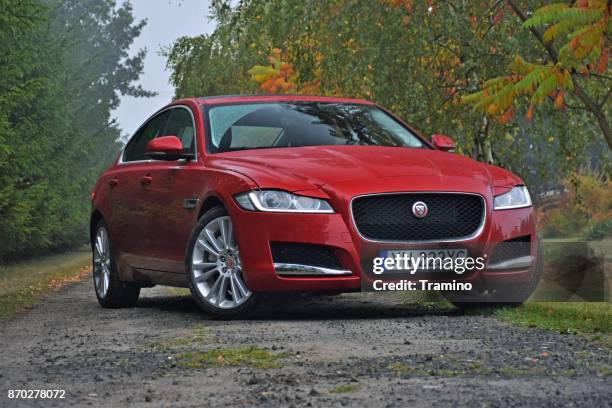 jaguar xf in autumn scenery - jaguar xf stock pictures, royalty-free photos & images