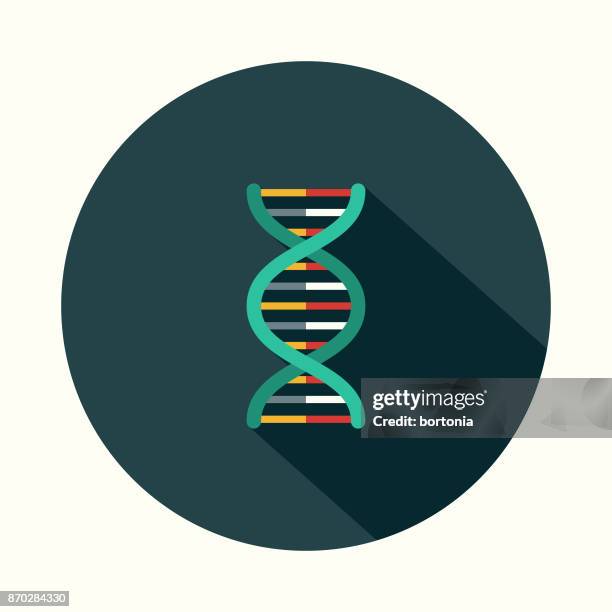 dna flat design science & technology icon with side shadow - helix stock illustrations