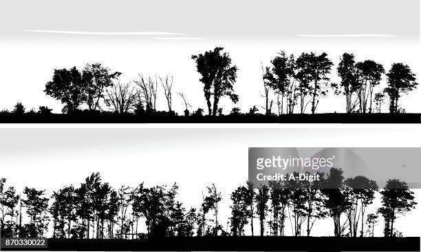 beautiful nature treeline - wide angle stock illustrations