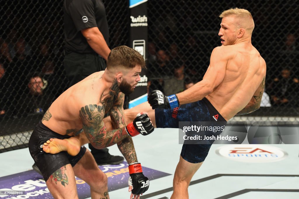 UFC 217: Garbrandt v Dillashaw