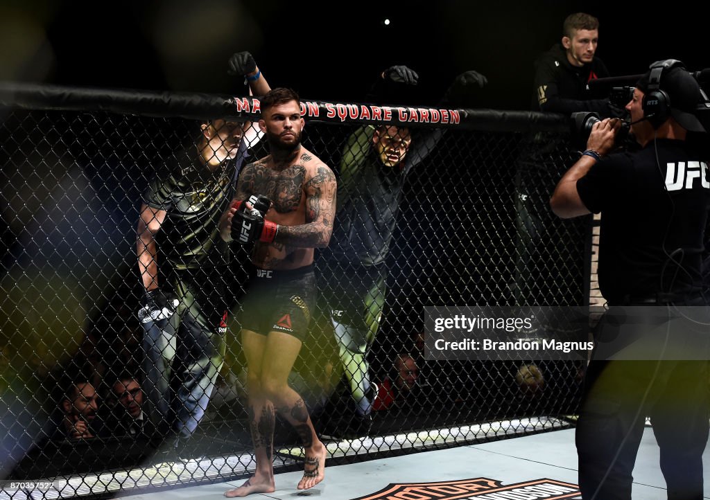 UFC 217: Garbrandt v Dillashaw