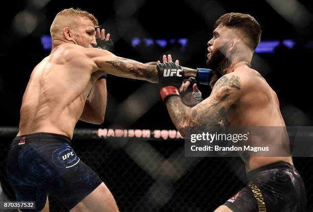 Dillashaw punches Cody Garbrandt in their UFC bantamweight championship bout during the UFC 217 event inside Madison Square Garden on November 4,...