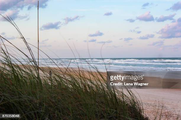 pastel sky over ocean waves and beach grass - ニュースムーナ・ビーチ ストックフォトと画像