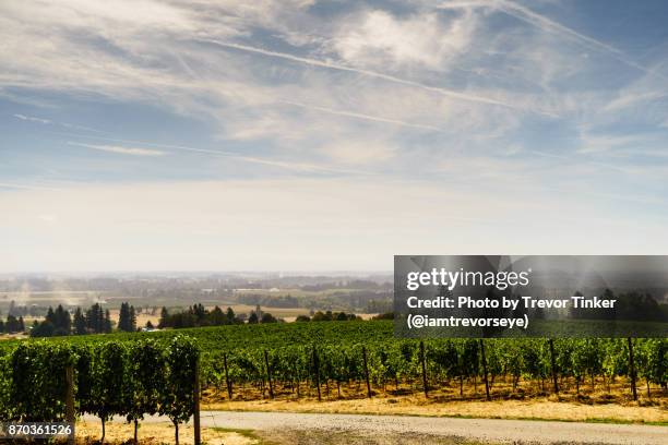 haze in the valley - willamette valley stock pictures, royalty-free photos & images