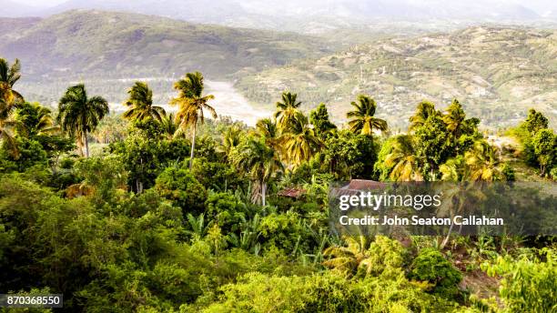 in the hills above jacmel - jacmel stock pictures, royalty-free photos & images