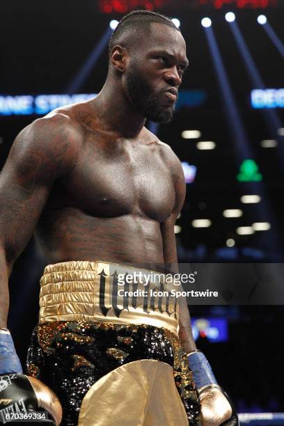Deontay Wilder defeated Bermane Stiverne by first round knockout for Showtime's Championship Boxing on November 04, 2017 at the Barclay's Center in...