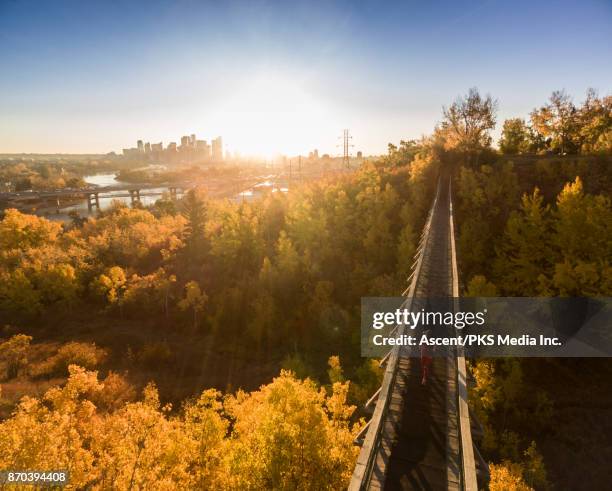 aerial view as woman runs on urban bridge in autumn - カルガリー ストックフォトと画像