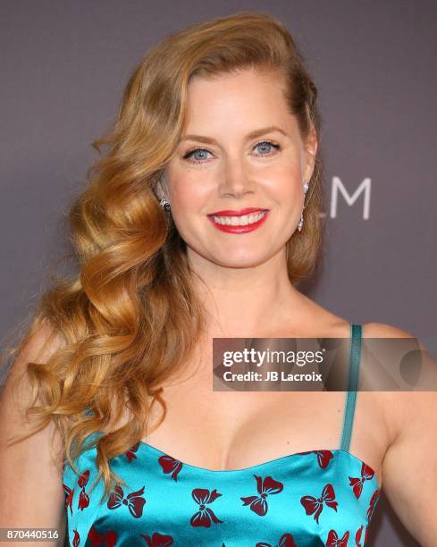 Amy Adams attends the 2017 LACMA Art + Film Gala Honoring Mark Bradford and George Lucas presented by Gucci at LACMA on November 4, 2017 in Los...