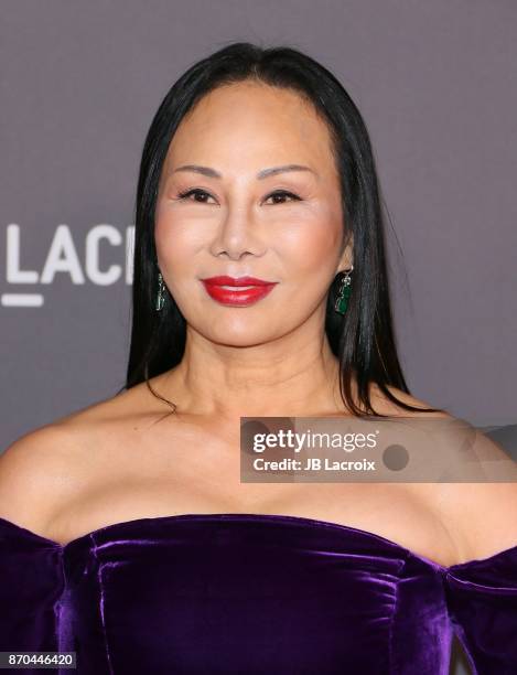 Eva Chow attends the 2017 LACMA Art + Film Gala Honoring Mark Bradford and George Lucas presented by Gucci at LACMA on November 4, 2017 in Los...