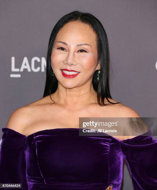 Eva Chow attends the 2017 LACMA Art + Film Gala Honoring Mark Bradford and George Lucas presented by Gucci at LACMA on November 4, 2017 in Los...