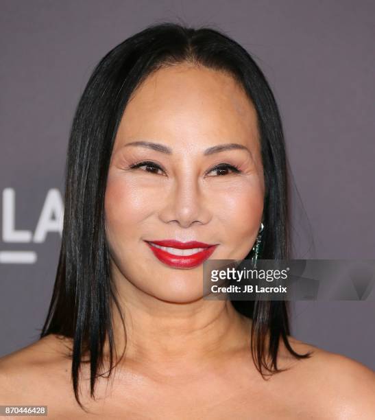 Eva Chow attends the 2017 LACMA Art + Film Gala Honoring Mark Bradford and George Lucas presented by Gucci at LACMA on November 4, 2017 in Los...