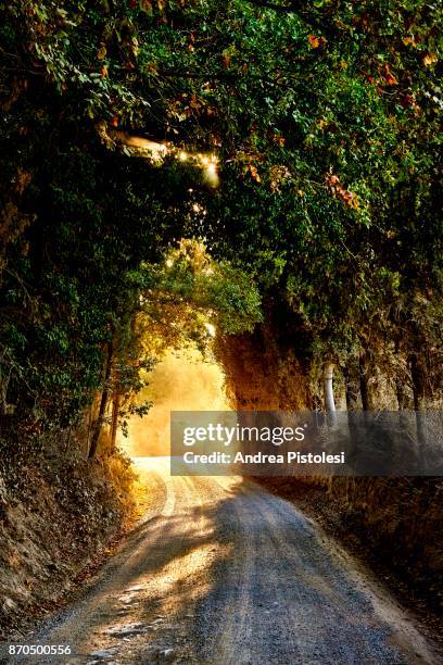 road in crete senesi countryside, tuscany - lucignano d'asso stock pictures, royalty-free photos & images