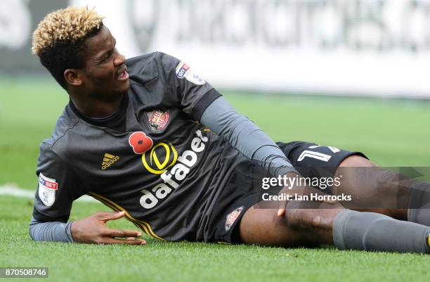 Didier N'Dong of Sunderland is injured during the Sky Bet Championship match between Middlesbrough and Sunderland at Riverside Stadium on November 5,...