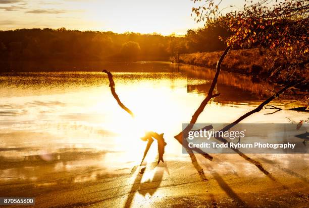 407 Sunbeam Illinois Stock Photos, HighRes Pictures, and Images