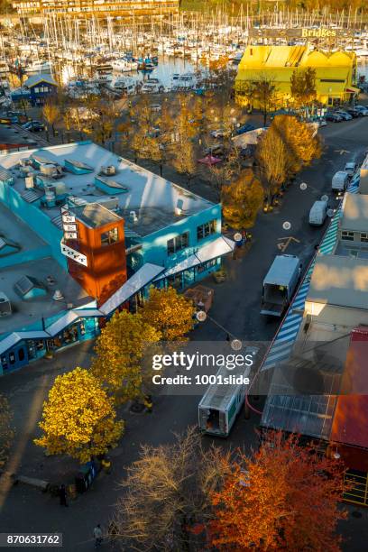 im herbst farbige ahornblatt vancouver - canadian maple trees from below stock-fotos und bilder