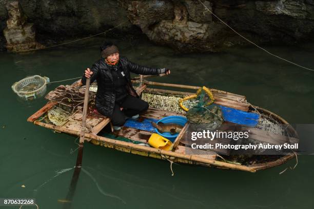 Ocean Raft Wood 198 Wood Raft Ocean Stock Photos, High-Res Pictures, and Images - Getty ...