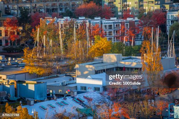 autumn colored maple leaf vancouver - granville stock pictures, royalty-free photos & images