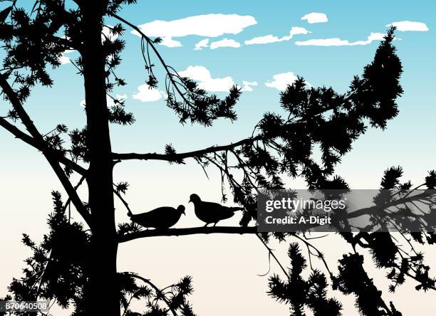 doves at home - monogamous animal behavior stock illustrations