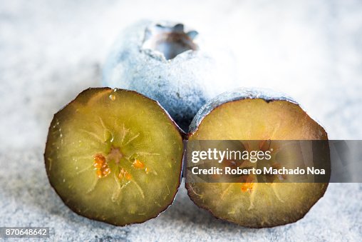 Close Up Of A Blueberry Interior The Seeds And Flesh Of The Fruit Can ...