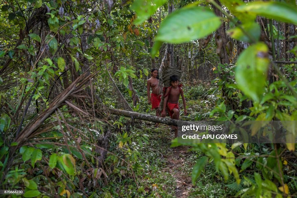 BRAZIL-AMAZON-INDIGENOUS-WAIAPI-FOREST