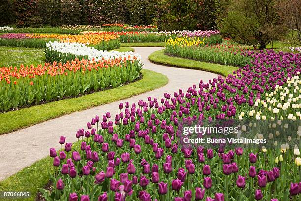 villa taranto - piedmont italy stock pictures, royalty-free photos & images