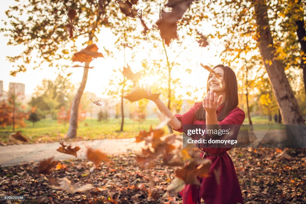 Hermoso día de otoño soleado en el parque público