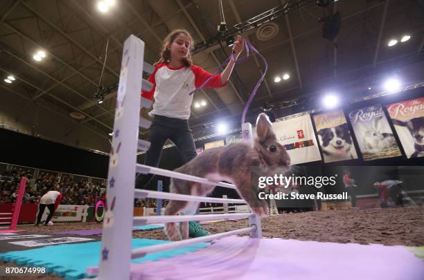 Rabbits trained by members of the Hamilton Wentworth 4-H leap over jumps at the Royal Agricultural and Winter Fair at the CNE Grounds in Toronto....