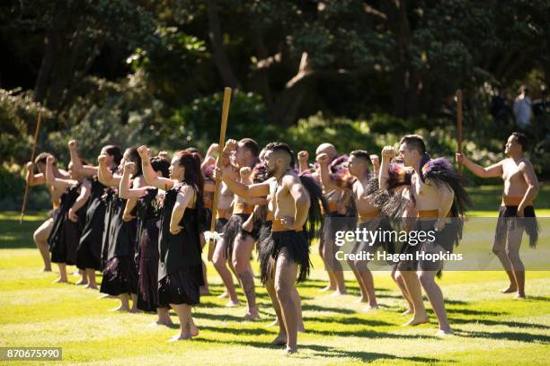 Members of the New Zealand Defence Force Maori Cultural Party perform a haka during a State Ceremony of Welcome at Government House on November 6,...