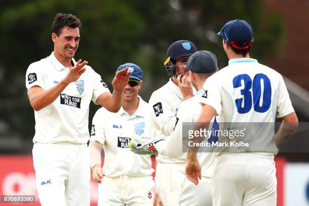 Mitchell Starc of the Blues celebrates with his team mates after trapping David Moody of the Warriors LBW to claim the second of his three wickets in...