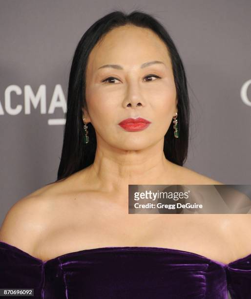 Eva Chow arrives at the 2017 LACMA Art + Film Gala honoring Mark Bradford and George Lucas at LACMA on November 4, 2017 in Los Angeles, California.