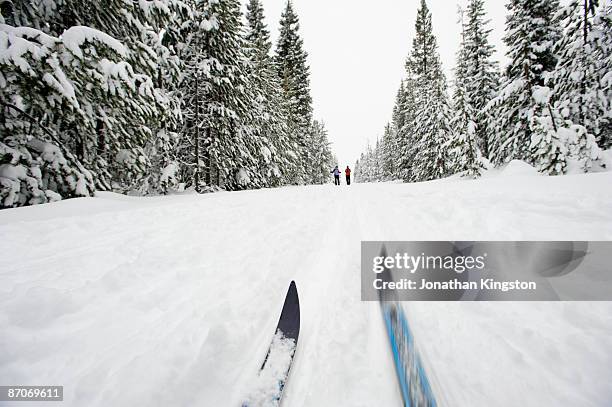 low angle view of cross country ski tips and two young women nordic skiing on a cross country trail in the snow in bend, oregon. - wonderlust2015 stock pictures, royalty-free photos & images