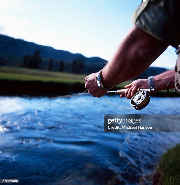 a detail of a fly-fisherman's hands and reel with a swift river in the background in yellowstone national park, wyoming. - swift river stock pictures, royalty-free photos & images