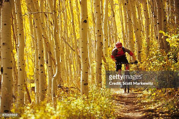 man fall mountain biking in park city, utah. - utah stock photos et images de collection