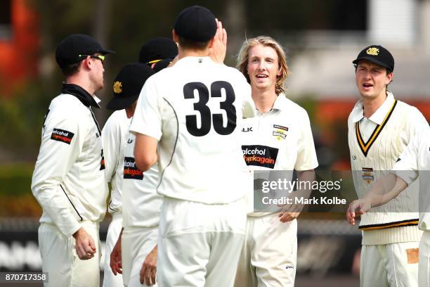 David Moody of the Warriors celebrates with his team after taking the wicket of Nic Maddinson of the Blues during day three of the Sheffield Shield...