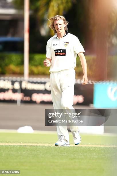 David Moody of the Warriors celebrates taking the wicket of Nic Maddinson of the Blues during day three of the Sheffield Shield match between New...