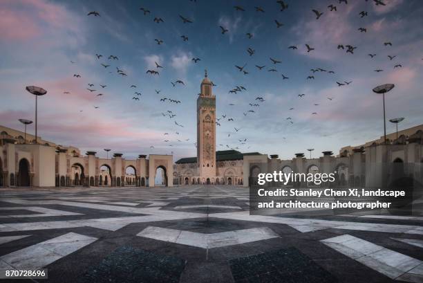 hassan ii mosque flock - mosque hassan ii fotografías e imágenes de stock