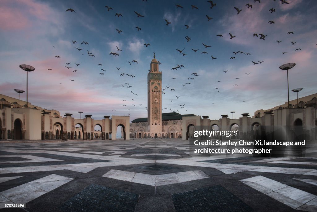 Hassan II Mosque Flock