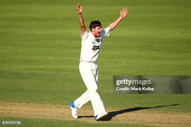 Jhye Richardson of the Warriors appeals unsuccessfully for the wicket of Curtis Patterson of the Blues during day three of the Sheffield Shield match...