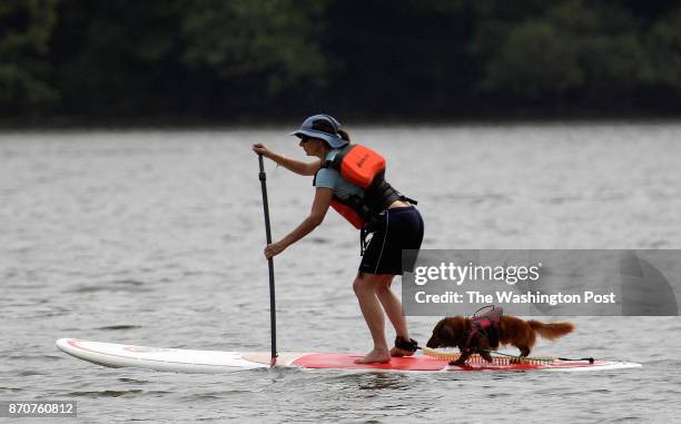 Catherine Frum of Washington Dc takes her dog,Homer, who is also wearing a life jacket out on a standup paddle board for an afternoon on the Potomac...