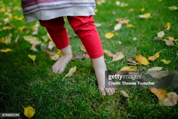 Berlin, Germany A toddler stands barefoot on a meadow on October 17, 2017 in Berlin, Germany.