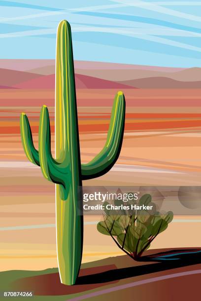 desert, saguaro cactus, mountains in distance landscape illustration - charles harker ストックフォトと画像