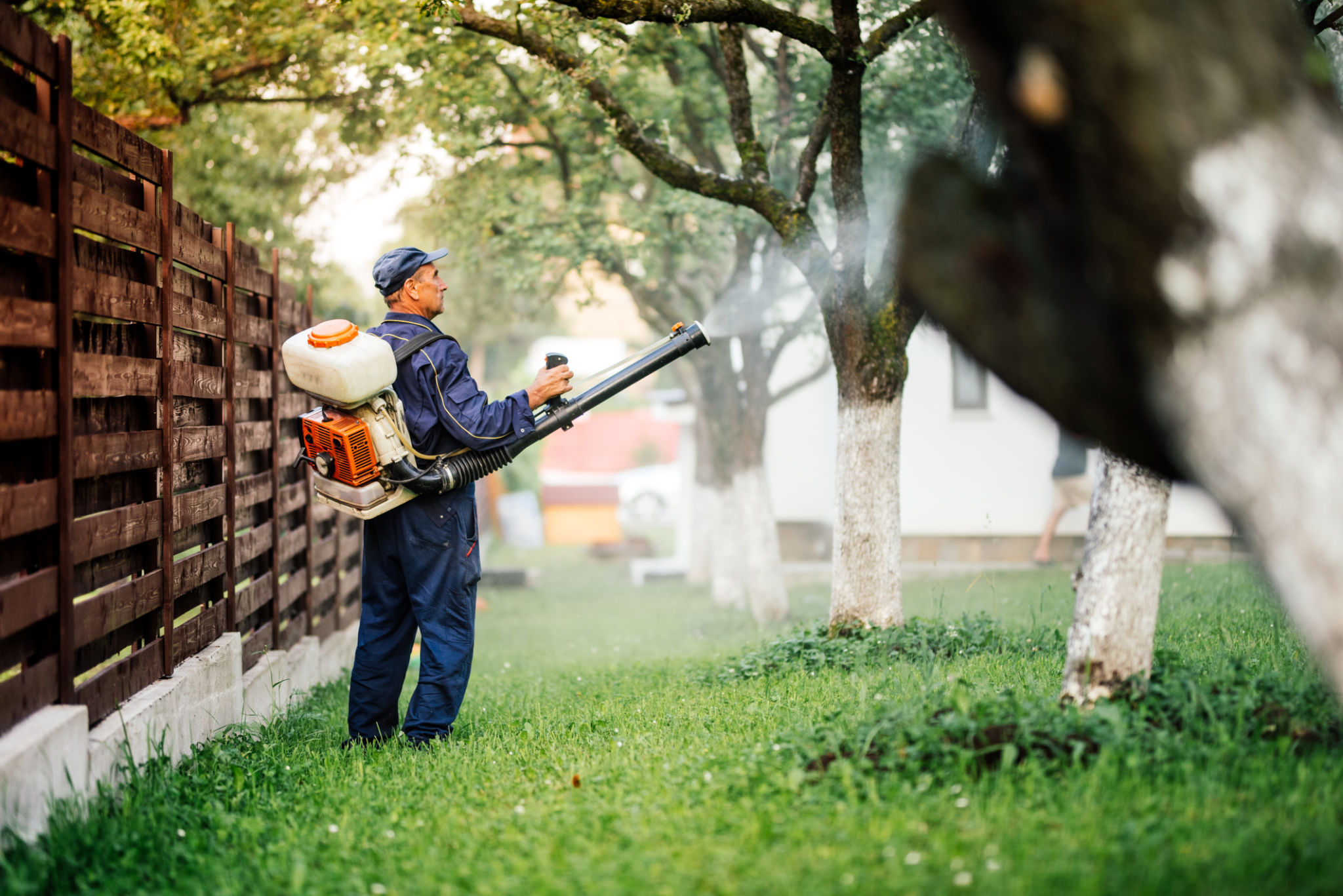 mosquito control