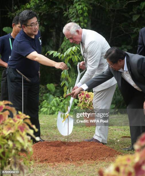 Prince Charles, Prince of Wales plants a tree during a visit to the Sarawak Biodiversity Centre on November 6, 2017 in Kuching, Sarawak, Malaysia....