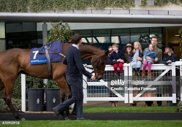 Racegoers attend race day at Ascot Racecourse on November 4, 2017 in Ascot, England.