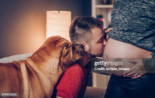 close-up of hands on pregnant women body - belly kissing stock pictures, royalty-free photos & images