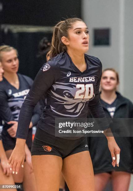 Oregon State middle blocker Daniela Vargas takes the court during the regular season game between the Oregon State Beavers verses the Stanford...